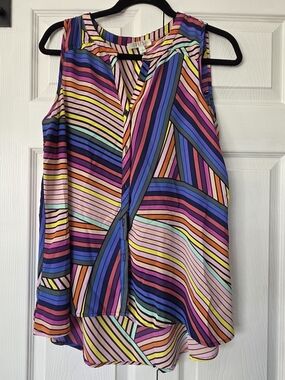 Spense Multi-Color Striped Sleeveless Top